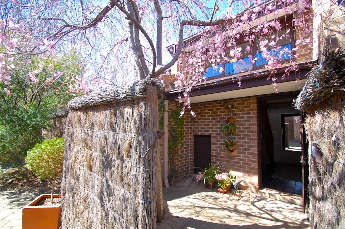 Main view of Homely apartment listing, 16/53 Elimatta Street, Braddon ACT 2612