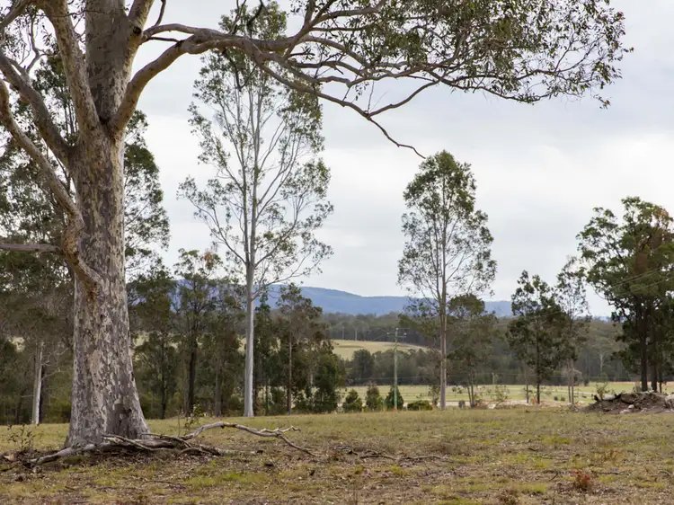 Fourth view of Homely rural property listing, 95 Wallaby Gully Road, Ellalong NSW 2325