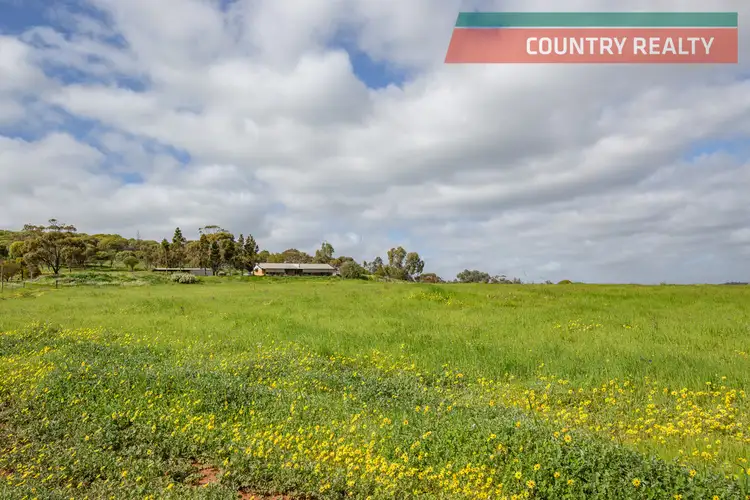 Fifth view of Homely house listing, 778 Bindi Bindi Road, Coondle WA 6566