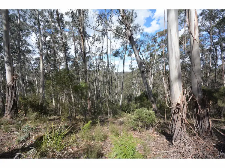 Fourth view of Homely land listing, 78 Delmonte Avenue, Medlow Bath NSW 2780