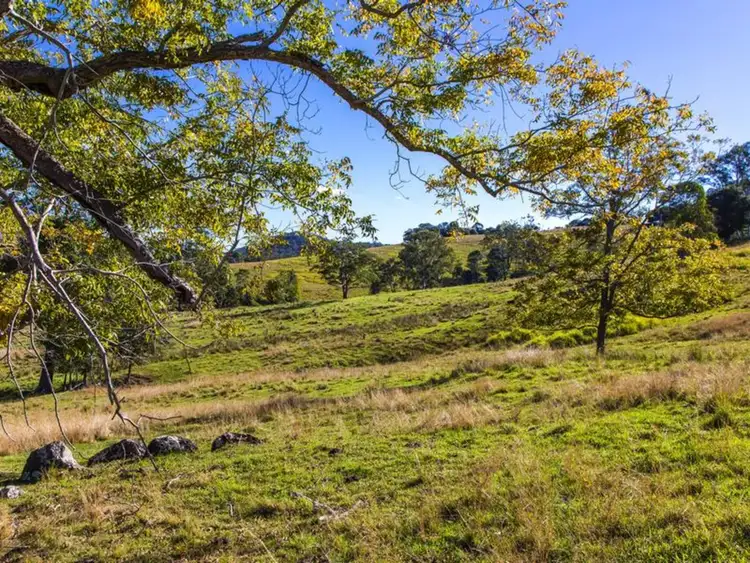 Sixth view of Homely house listing, 1090 Eumundi-Kenilworth Road, Belli Park QLD 4562