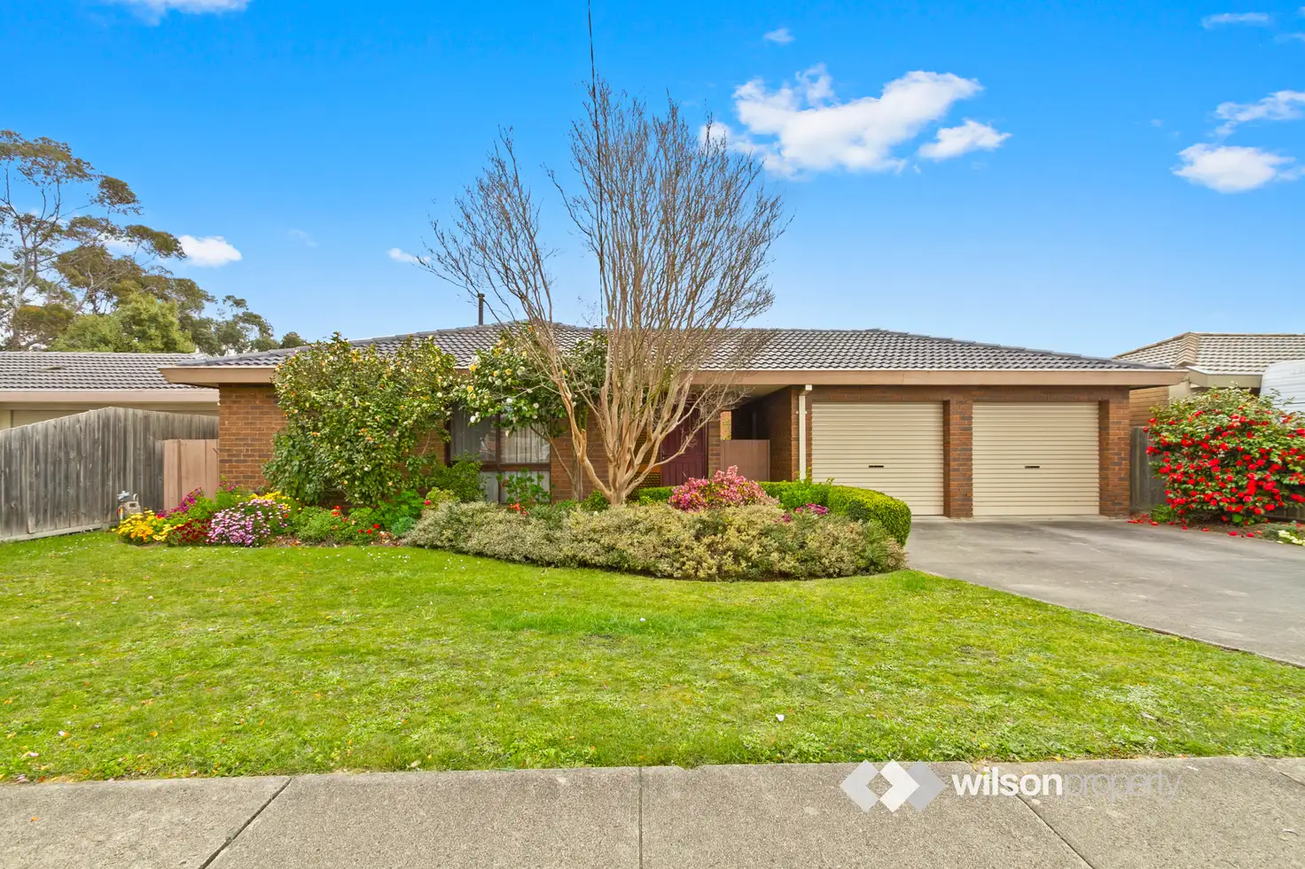 Main view of Homely house listing, 37 Grubb Avenue, Traralgon VIC 3844