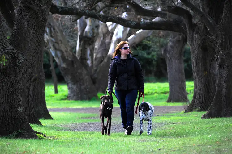 Fourth view of Homely land listing, LOT 7, 32 Serene Terrace, Drysdale VIC 3222