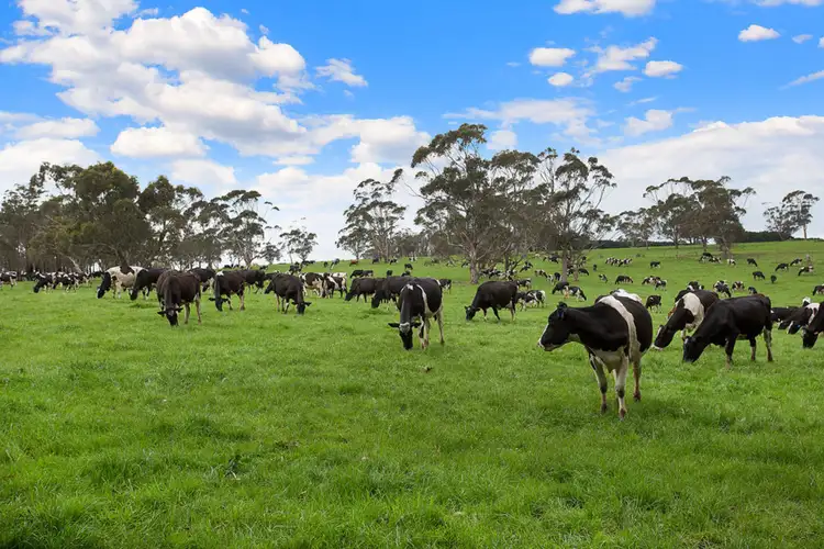 Sixth view of Homely rural property listing, 1186 Digneys Bridge Road, Glenfyne VIC 3266