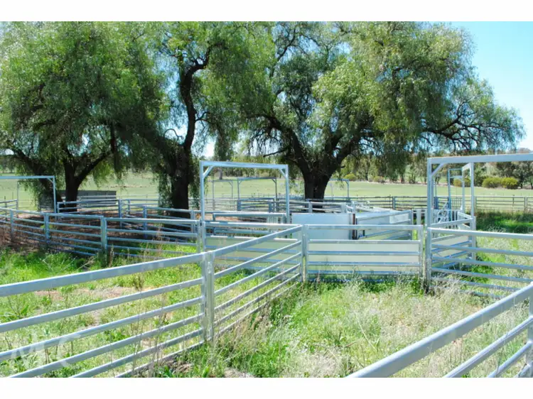 Third view of Homely rural property listing, 2472 Banjo Paterson Way, Cumnock NSW 2867