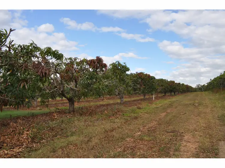 Fifth view of Homely rural property listing, LOT 3 & 4, 550 Narcotic Creek Road, Chewko QLD 4880