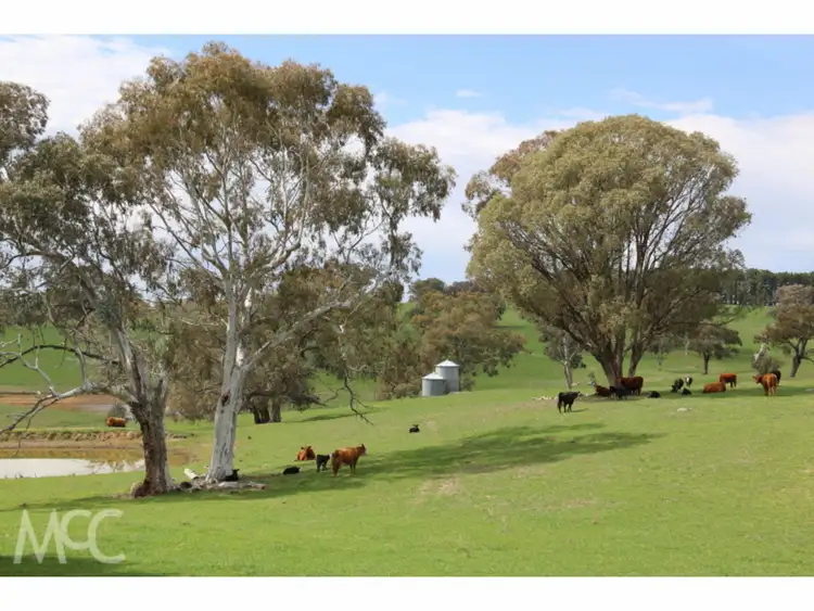 Fifth view of Homely rural property listing, 'Galens Tor' 38 Offner Road, Orange NSW 2800