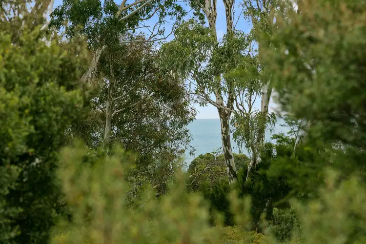 Sixth view of Homely house listing, 29-31 Finlayson Avenue, Mount Martha VIC 3934