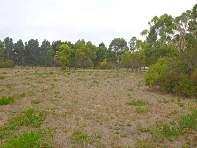 Main view of Homely rural property listing, Lot 115 Eleven Mile Beach Road, Pink Lake WA 6450