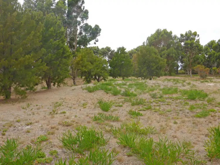 Second view of Homely rural property listing, Lot 115 Eleven Mile Beach Road, Pink Lake WA 6450