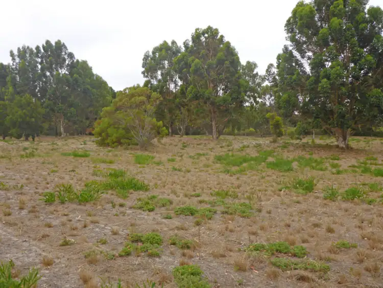 Fourth view of Homely rural property listing, Lot 115 Eleven Mile Beach Road, Pink Lake WA 6450