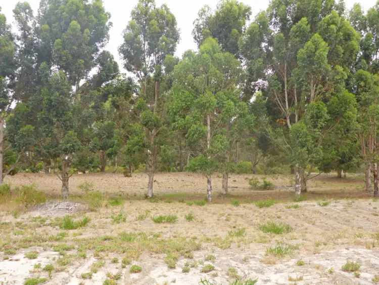 Fifth view of Homely rural property listing, Lot 115 Eleven Mile Beach Road, Pink Lake WA 6450