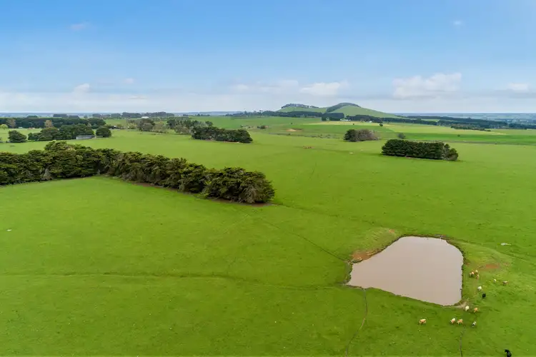 Fourth view of Homely rural property listing, 750 Naroghid Road, Naroghid VIC 3266