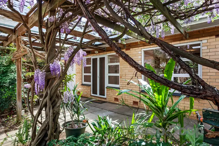Main view of Homely house listing, 15 Morcomb Street, Stepney SA 5069
