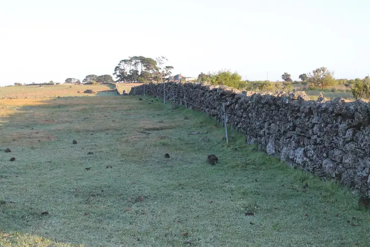 Sixth view of Homely rural property listing, 655 Beeac Dreeite Road, Dreeite VIC 3249