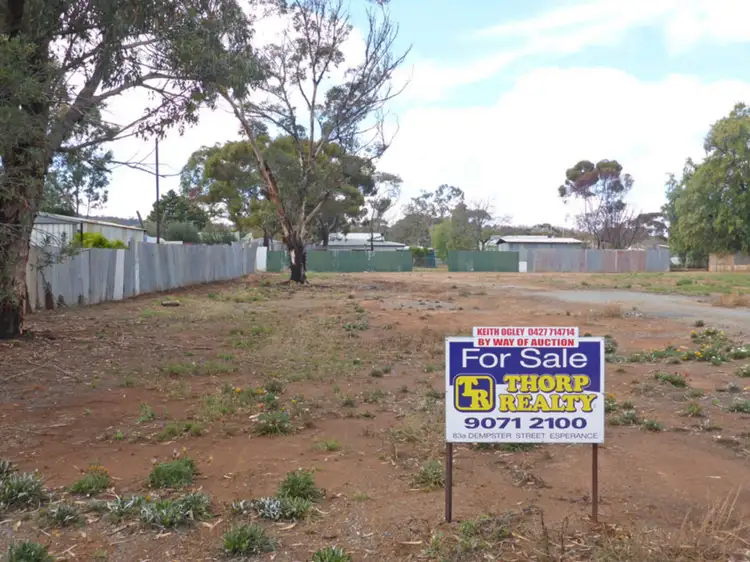 Lot 280 Prinsep Street, Norseman WA 6443