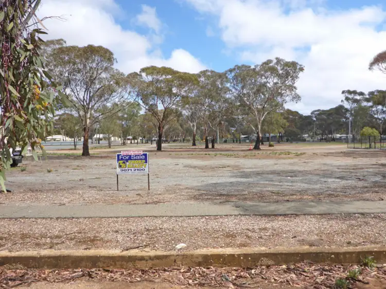 Lot 289 Prinsep Street, Norseman WA 6443