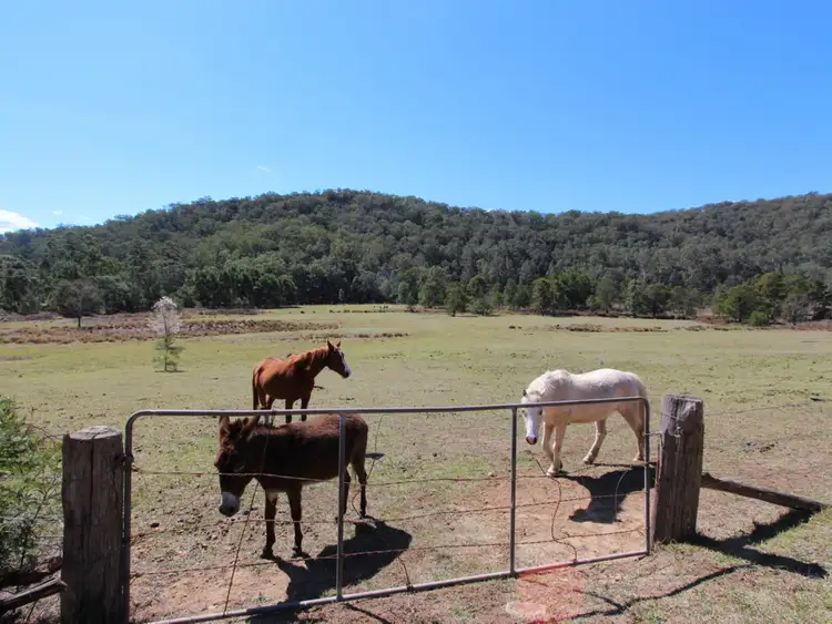 Fourth view of Homely rural property listing, 5549 George Downes Drive, Laguna NSW 2325