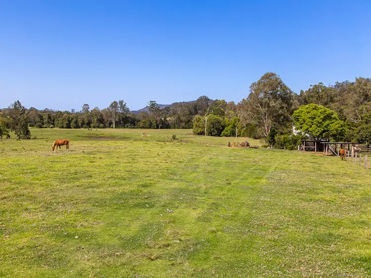Main view of Homely house listing, 227 Cedar Creek Road, Belli Park QLD 4562