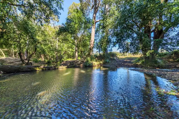 Third view of Homely house listing, 227 Cedar Creek Road, Belli Park QLD 4562