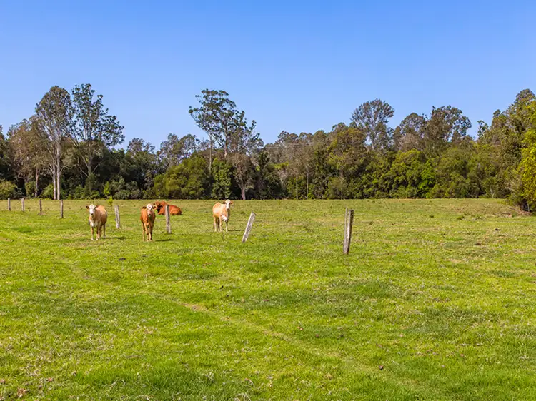 Fourth view of Homely house listing, 227 Cedar Creek Road, Belli Park QLD 4562