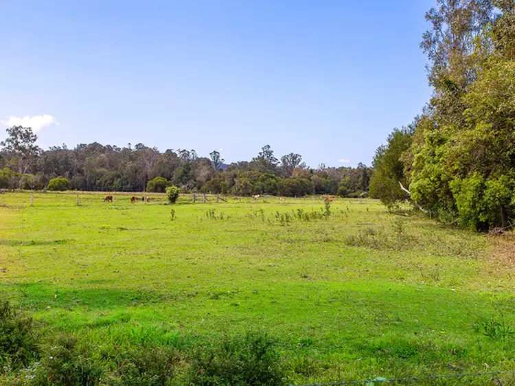 Fifth view of Homely house listing, 227 Cedar Creek Road, Belli Park QLD 4562