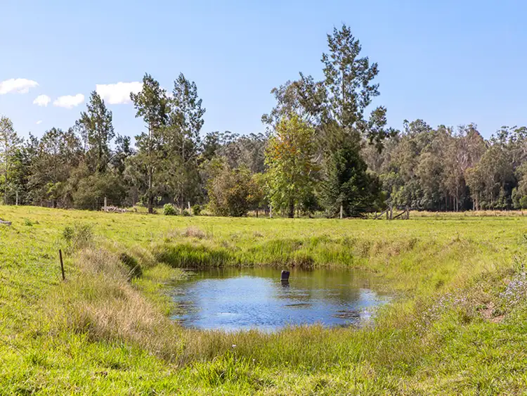 Seventh view of Homely house listing, 227 Cedar Creek Road, Belli Park QLD 4562