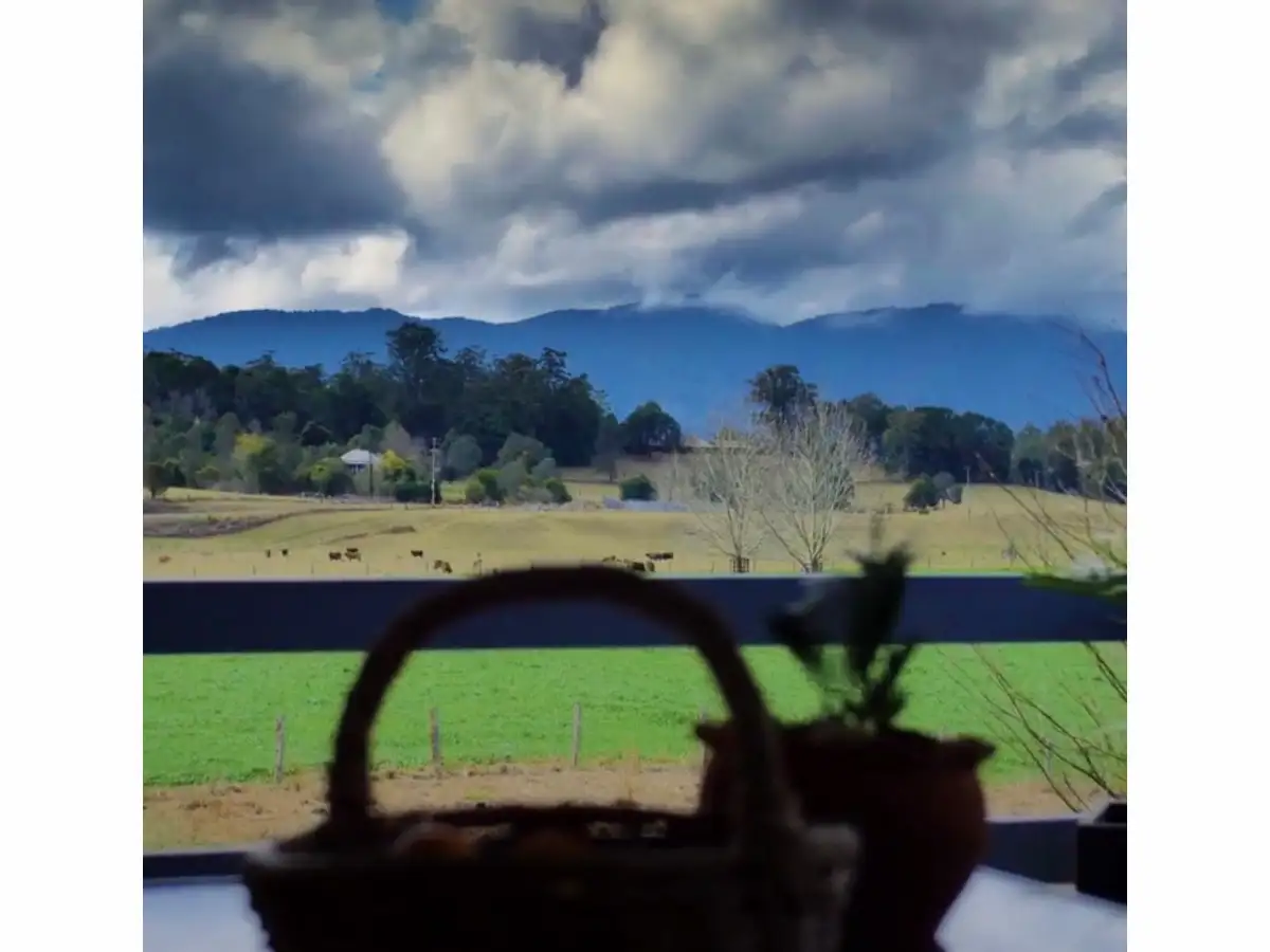 Main view of Homely rural property listing, 499 Gordonville Road, Bellingen NSW 2454