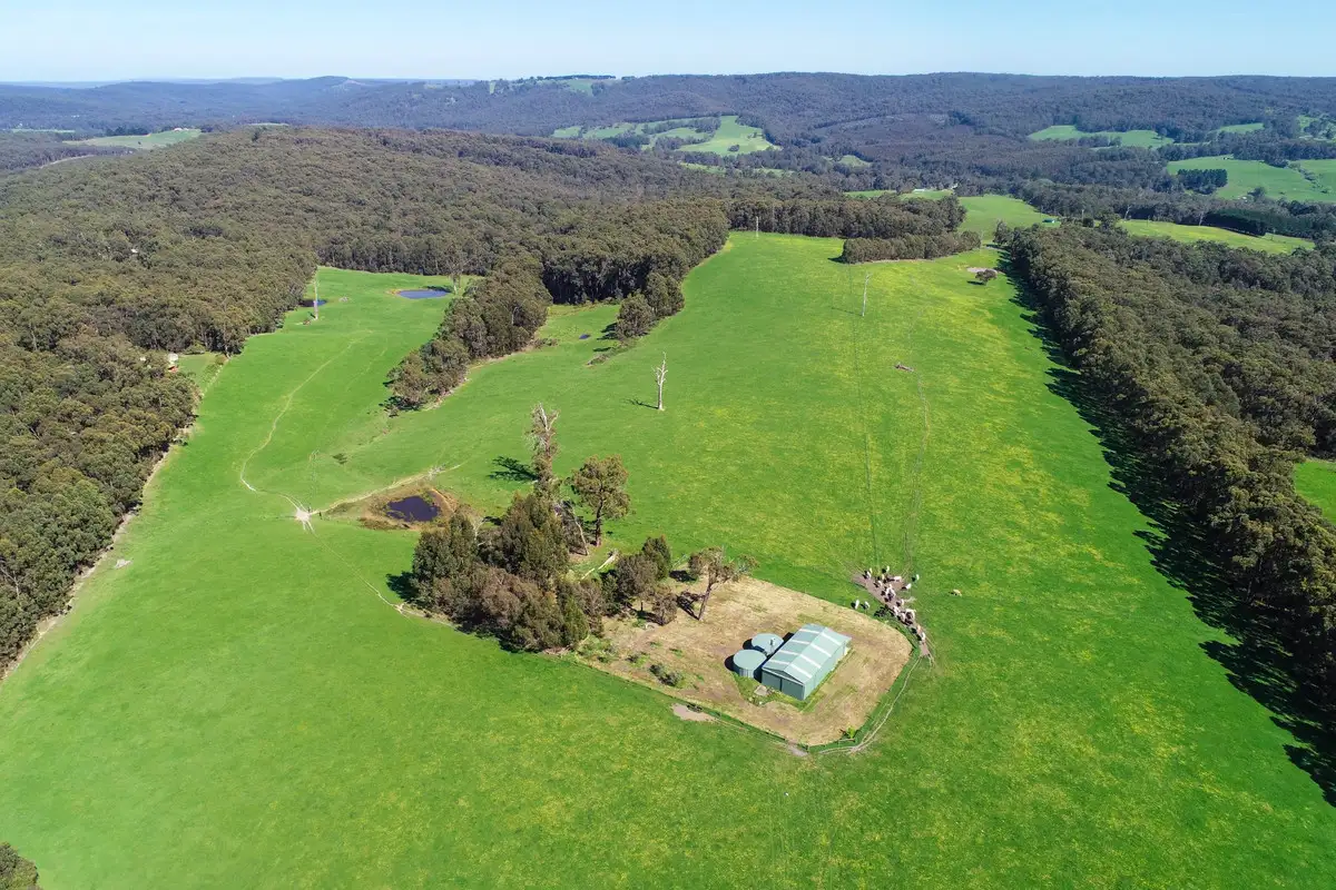 Main view of Homely rural property listing, 365 Fry's Road, Kawarren VIC 3249