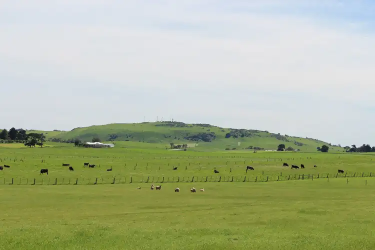 Main view of Homely rural property listing, 920 Corangamite Lake Road, Coragulac VIC 3249