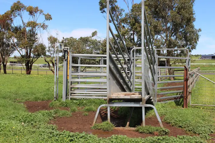 Fifth view of Homely rural property listing, 920 Corangamite Lake Road, Coragulac VIC 3249
