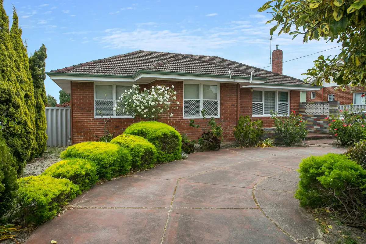 Main view of Homely house listing, 271 FLINDERS Street, Nollamara WA 6061