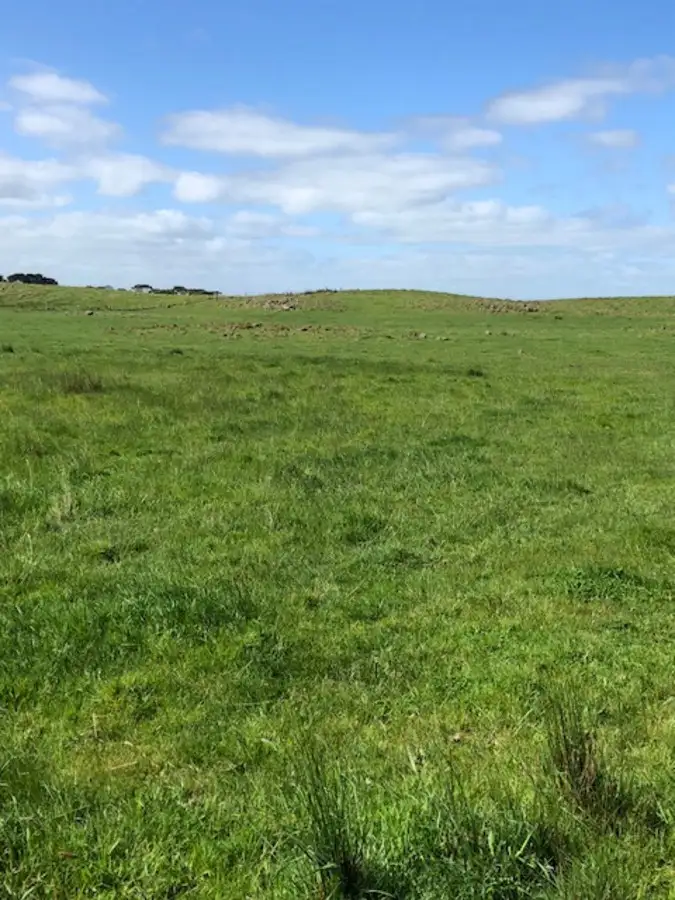 Third view of Homely rural property listing, LOT 2 Faulkners North Road, Tarrone VIC 3283