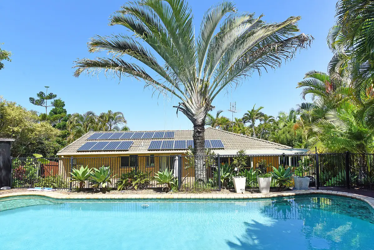 Main view of Homely house listing, 12 Hoop Pine Court, Buderim QLD 4556