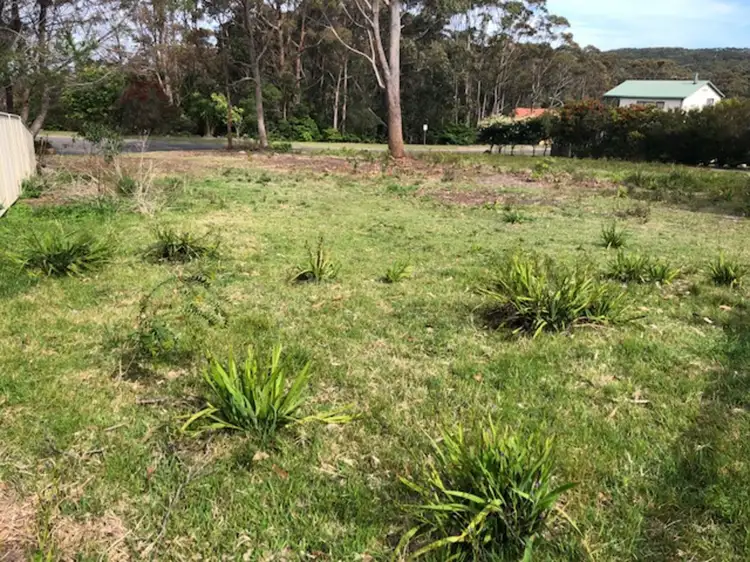 Main view of Homely land listing, 12 Brace Close, Kioloa NSW 2539