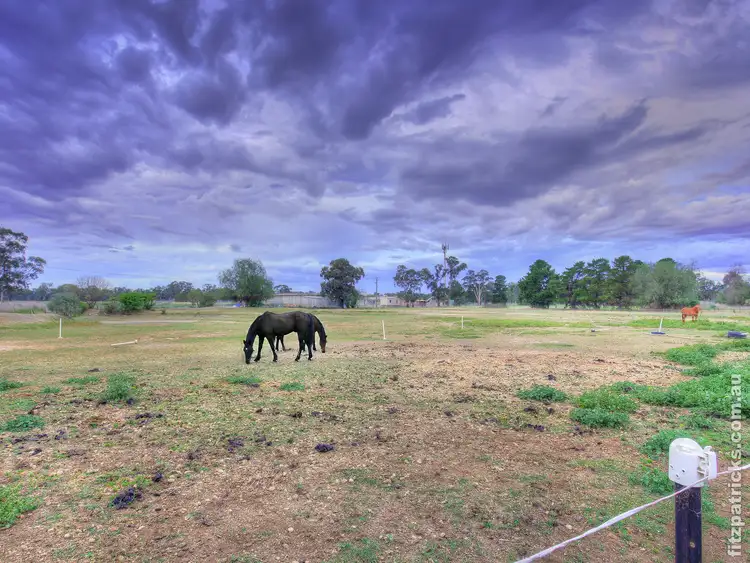 Fourth view of Homely rural property listing, 3 Maple Road, Lake Albert NSW 2650
