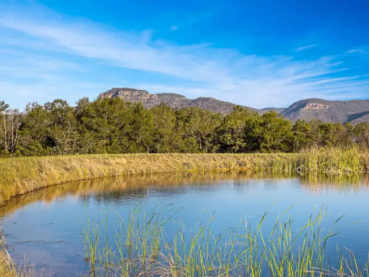 Third view of Homely rural property listing, 125 Adams Peak Road, Broke NSW 2330