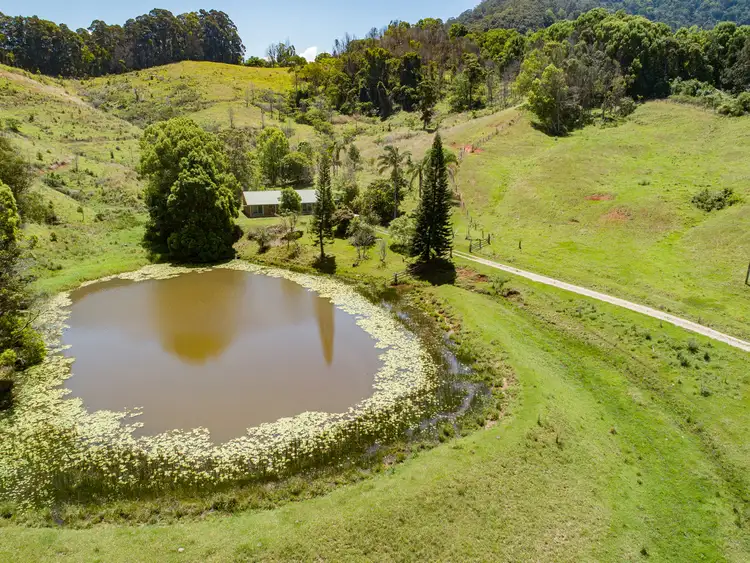 Second view of Homely rural property listing, 191 Howards Road, Burringbar NSW 2483