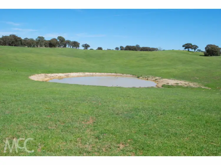 Fourth view of Homely rural property listing, 'Windsor Park' 122 Kent Road, Orange NSW 2800