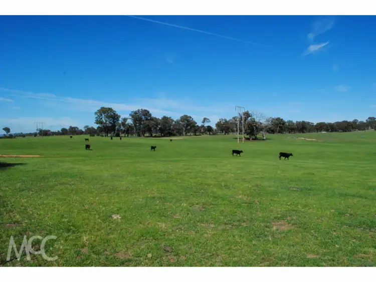 Seventh view of Homely rural property listing, 'Windsor Park' 122 Kent Road, Orange NSW 2800