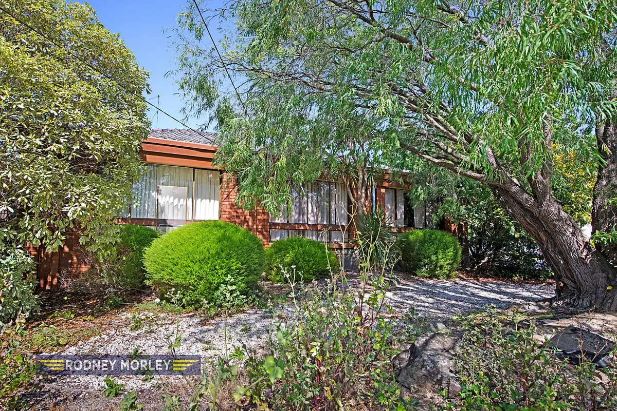Main view of Homely house listing, 7 Jasmine Street, Caulfield South VIC 3162
