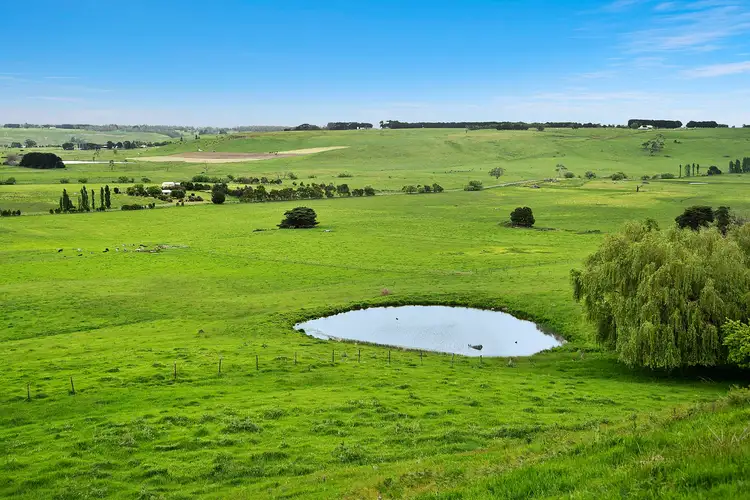 Sixth view of Homely rural property listing, 394 Cobden-Stoneyford Road, Cobden VIC 3266