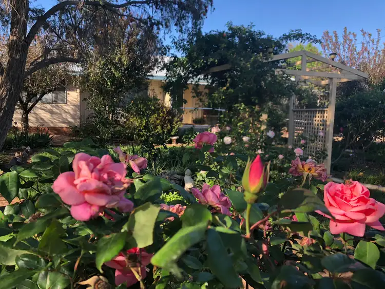 Sixth view of Homely house listing, 30 Pye Street, Eugowra NSW 2806