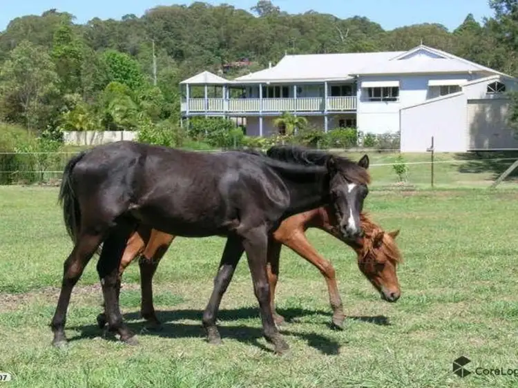 Sixth view of Homely house listing, 13 Vinces Way, Kureelpa QLD 4560