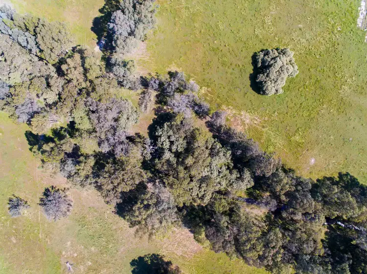 Fifth view of Homely rural property listing, Lot 504 Henderson Road, Hopeland WA 6125