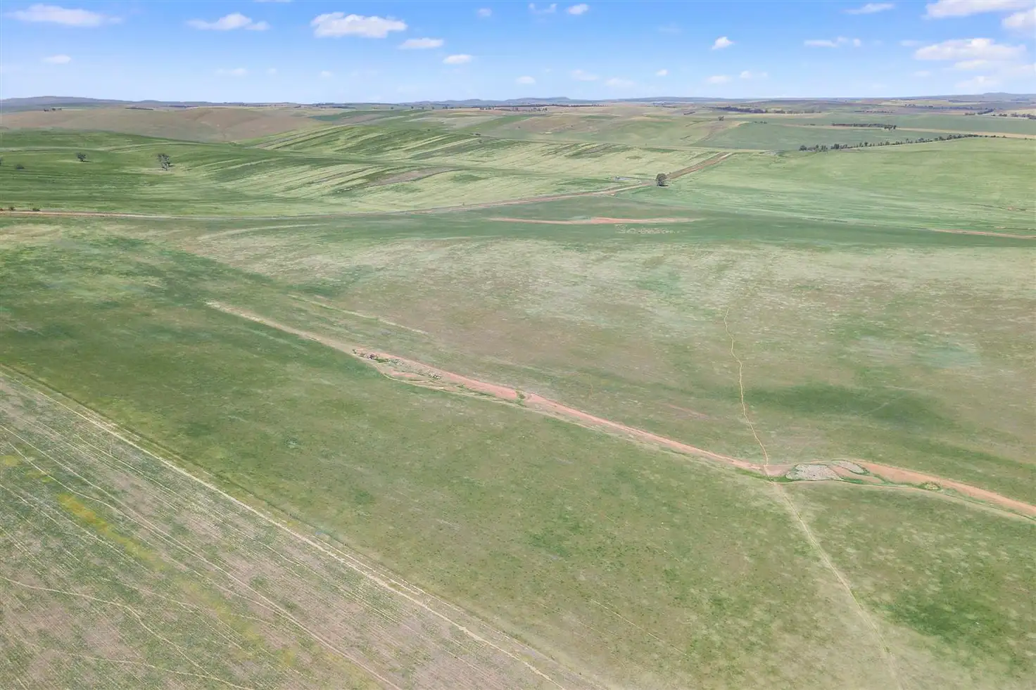 Main view of Homely rural property listing, 822 White Road, Booborowie SA 5417