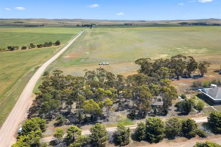 Third view of Homely rural property listing, 822 White Road, Booborowie SA 5417