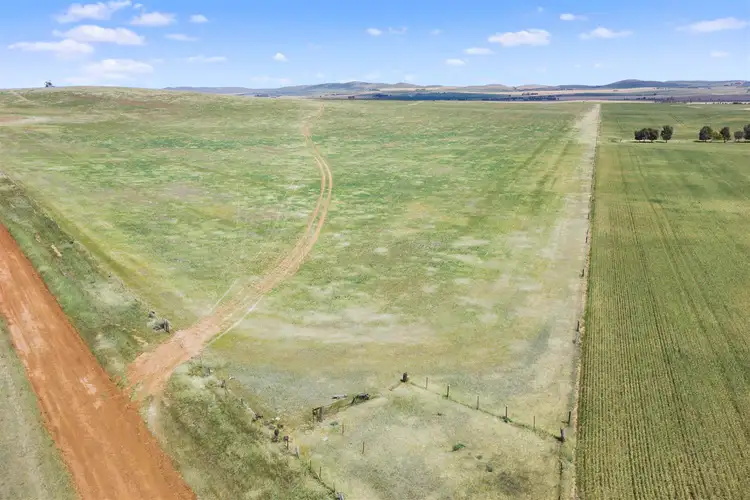 Fifth view of Homely rural property listing, 822 White Road, Booborowie SA 5417