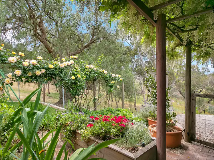 Second view of Homely house listing, 30 Bassnet Road, One Tree Hill SA 5114