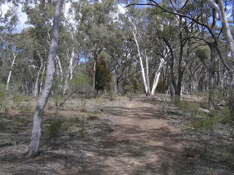 Fifth view of Homely rural property listing, 6925 Castlereagh Highway, Ilford NSW 2850